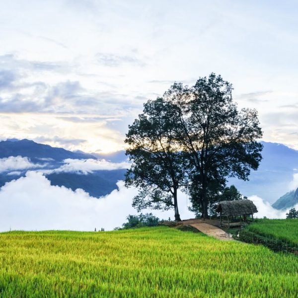 TOUR SAPA – Y TÝ